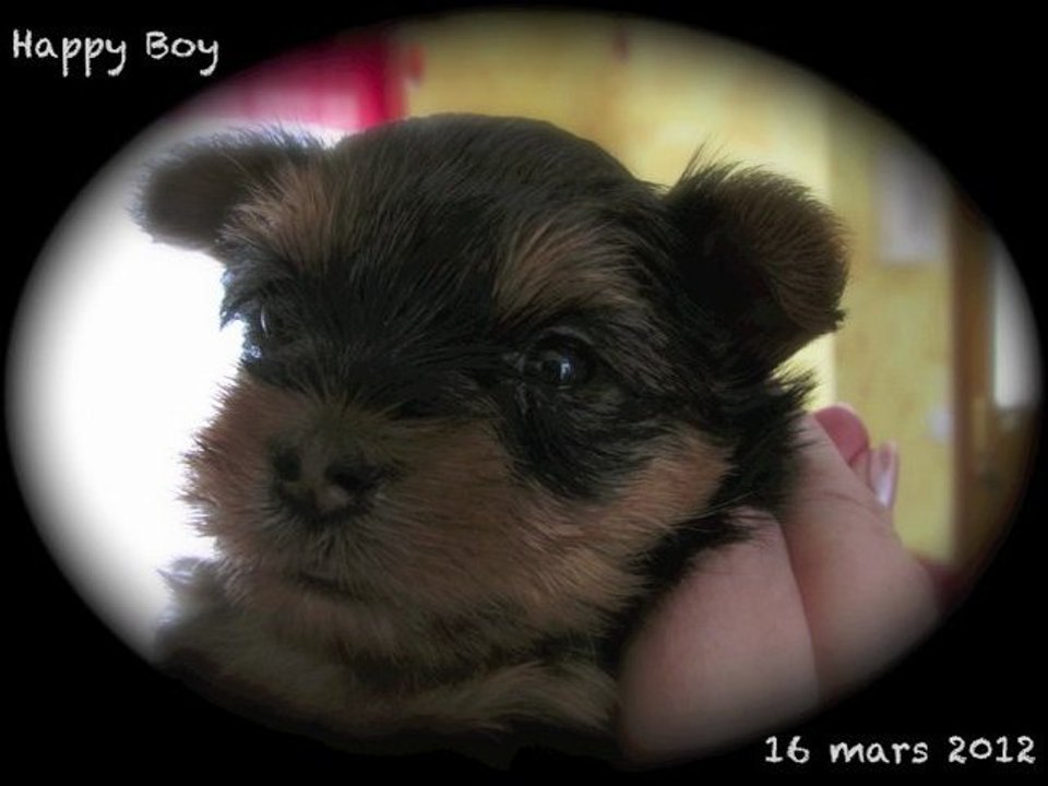 Happy Boy 16 mars 2012