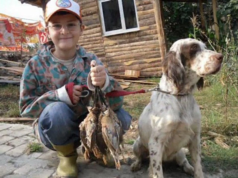 SETTER-ARNAOUT KEVİ