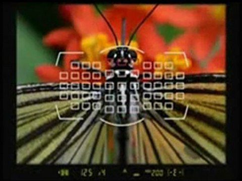 Nikon D800 36.3 MP CMOS FX-Format Digital SLR Camera (Body Only) Best Price