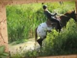 Adventure Horse Riding in NYS video 1.mp4