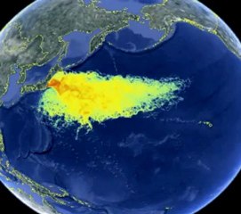 Fukushima Radioactive Ocean
