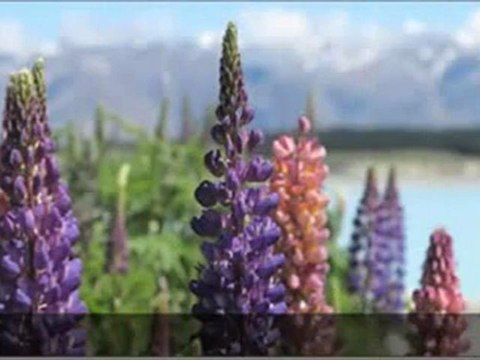 Canon G1 X 14.1 MP CMOS Digital Camera Preview | Canon G1 X 14.1 MP CMOS Digital Camera For Sale