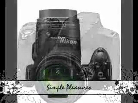 Nikon COOLPIX P510 16.1 MP CMOS Digital Camera Review | Nikon COOLPIX P510 16.1 MP CMOS Digital Camera Sale