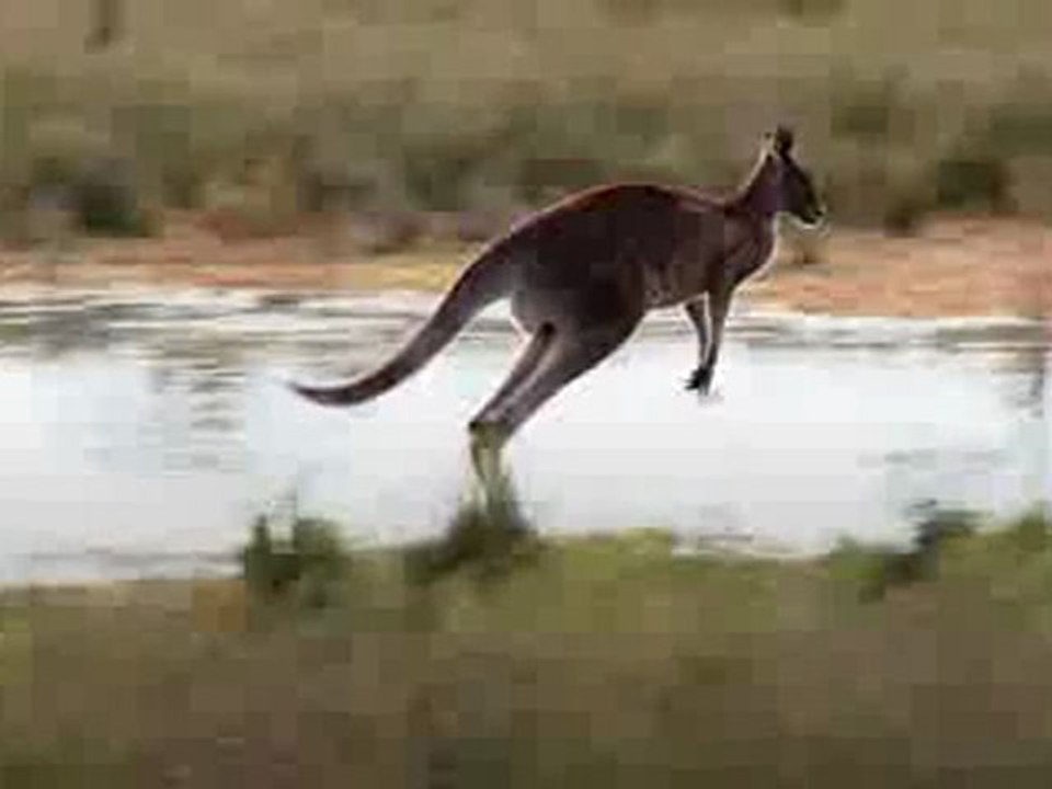 Buy Now Panasonic Lumix ZS20 14.1 MP High Sensitivity MOS Digital Camera with 20x Optical Zoom (Black)