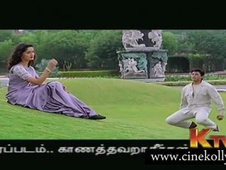 Nee irunthaal Naan....