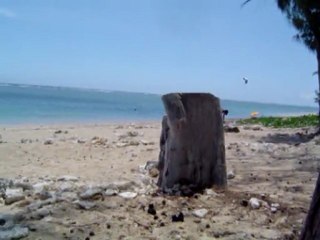 la plage de la Saline