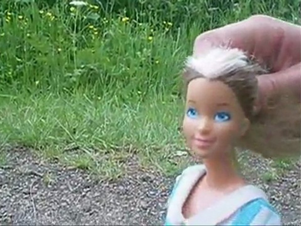 pub anti-barbies