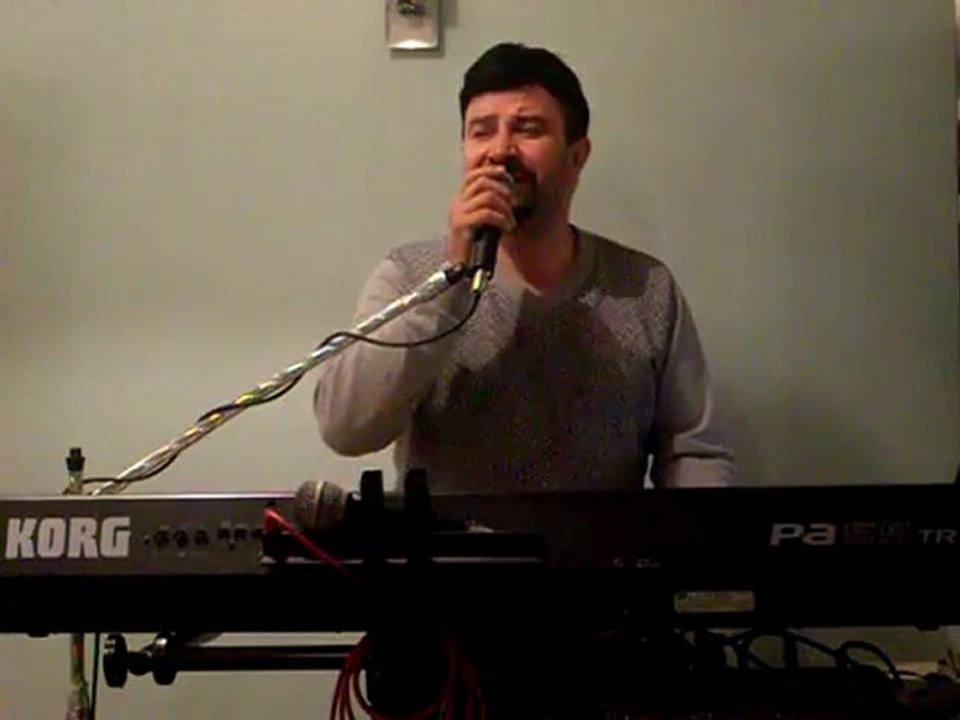 Bekir Özkan - Bahçede Yeşil Çınar