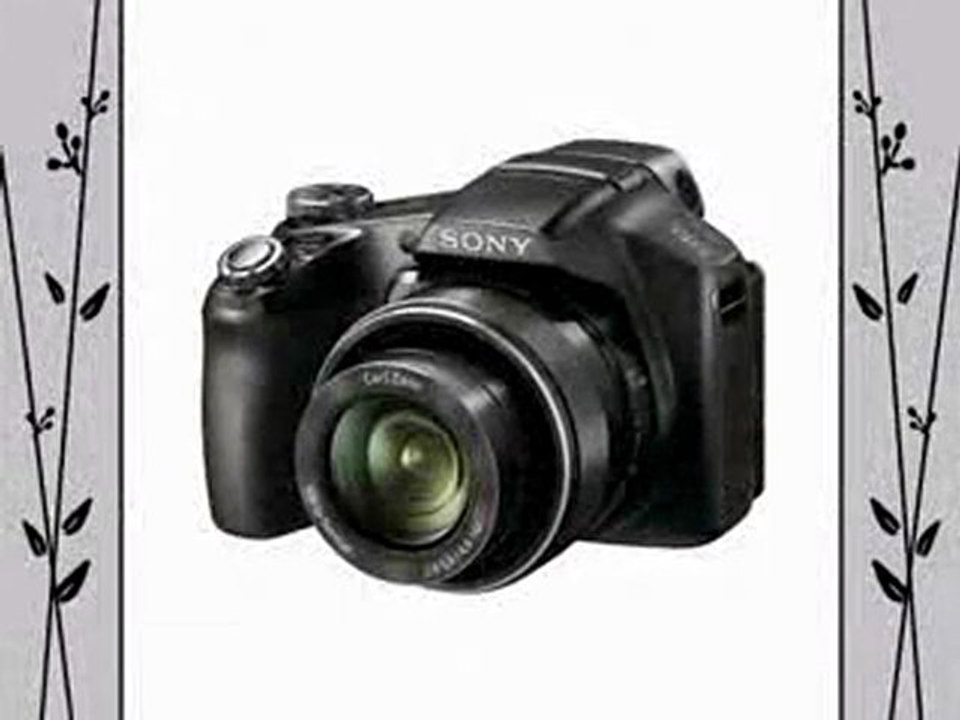 Sony Cyber-Shot DSC-HX100V Digital Camera (Black) Bundle Review | Sony Cyber-Shot DSC-HX100V Digital Camera