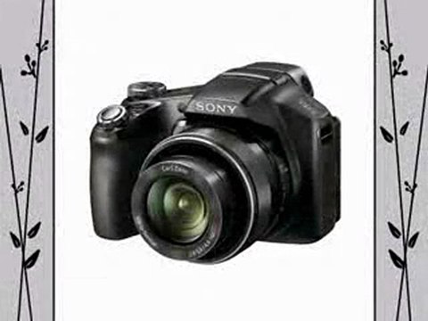 Sony Cyber-Shot DSC-HX100V Digital Camera (Black) Bundle Review | Sony Cyber-Shot DSC-HX100V Digital Camera