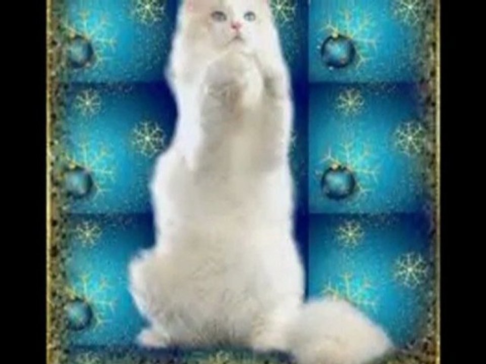 seul unique clan des WildCats