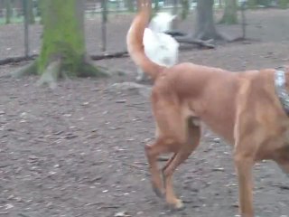 parc de la courneuve (3)