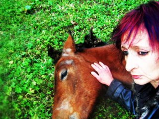 Meilleur Morceau Choisi..