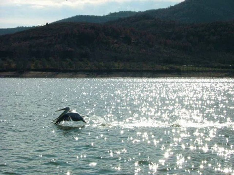 CENTRAL MACEDONIA GREECE 2-ΚΕΝΤΡΙΚΗ ΜΑΚΕΔΟΝΙΑ ΕΛΛΑΣ 2