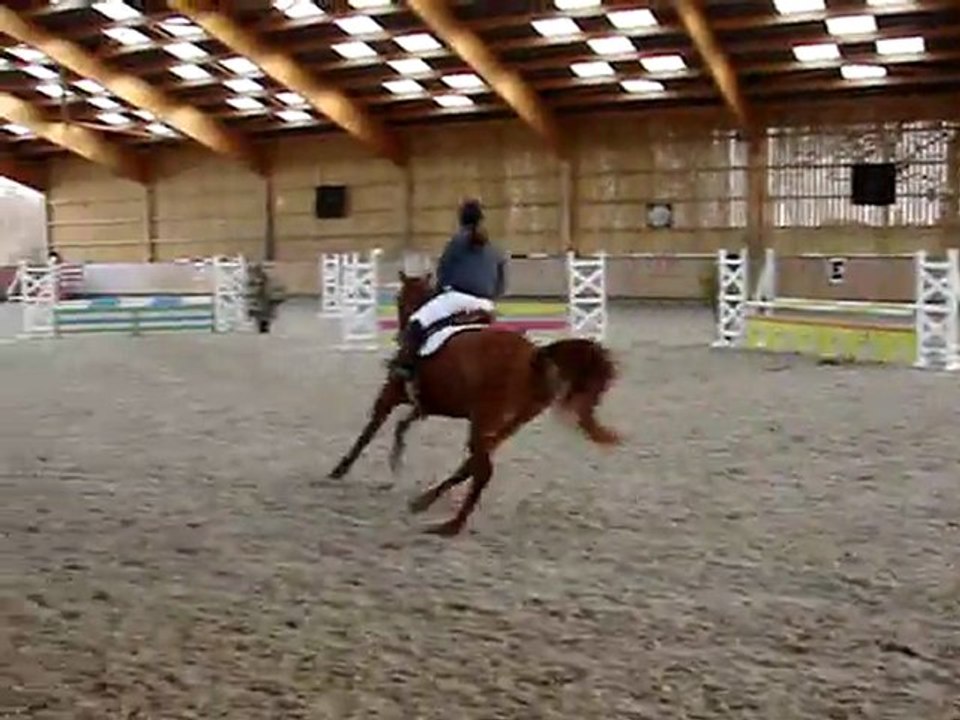 Flora gozon club 2 cso launay