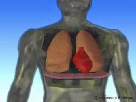 ‫ حقيقة علمية اعجاز في القران الكريم سبحان الله وبحمده