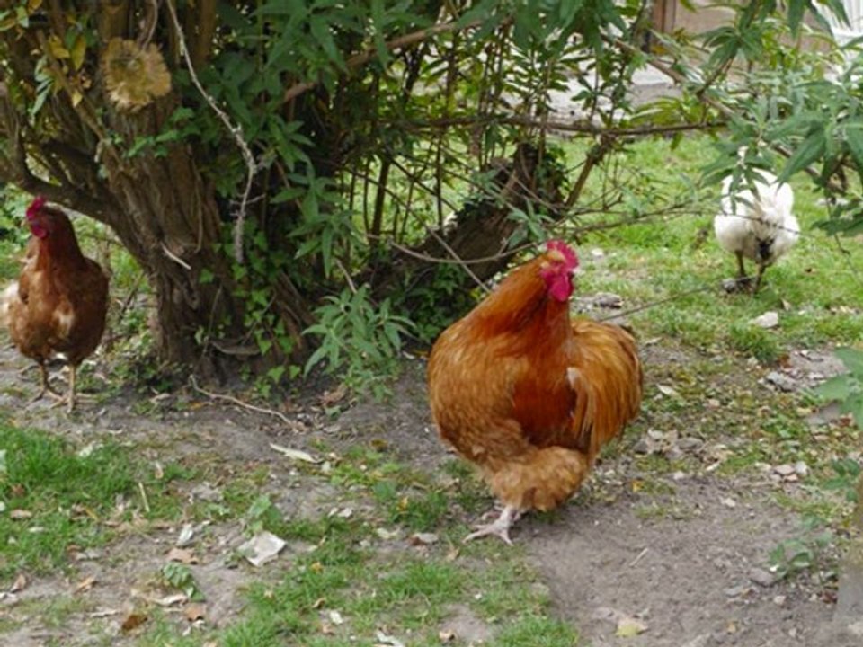 C'est le printemps
