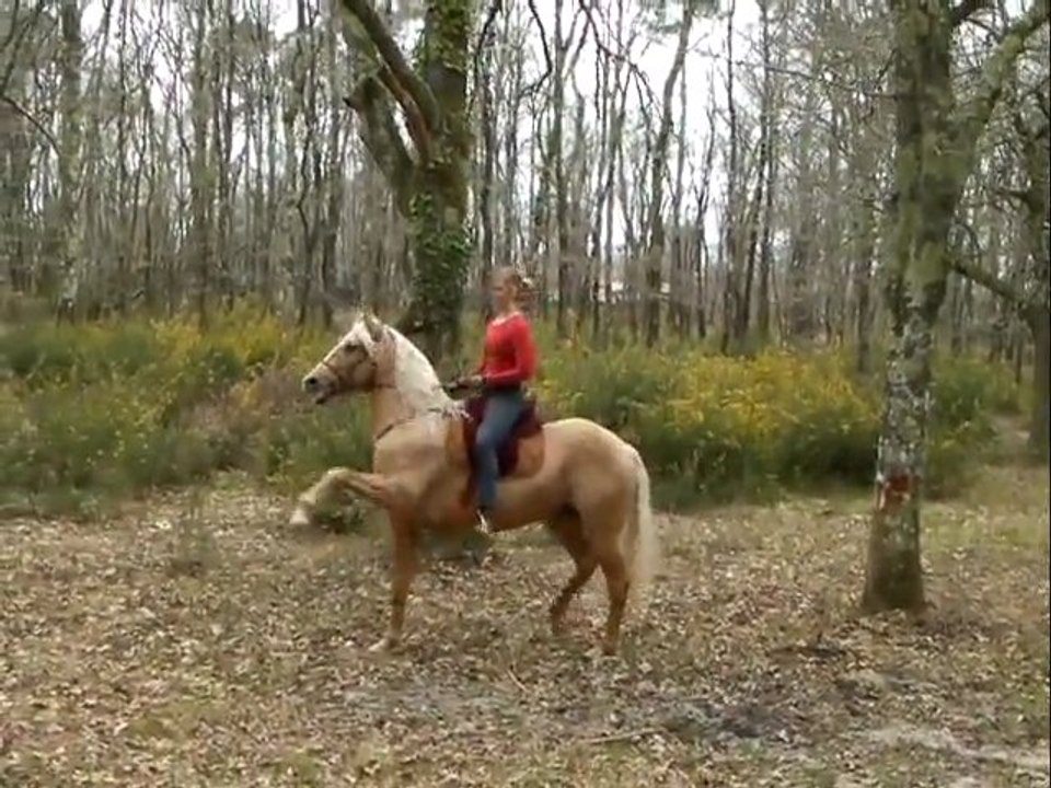 Balade en Amoureux