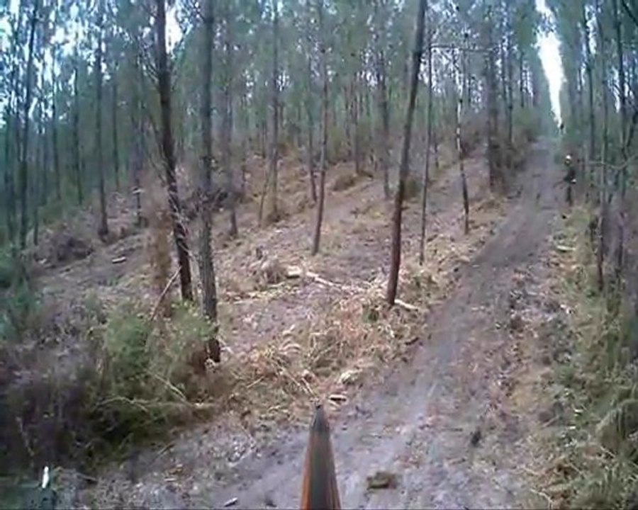 Caméra embarquée sanglier linxe 17-03-2012