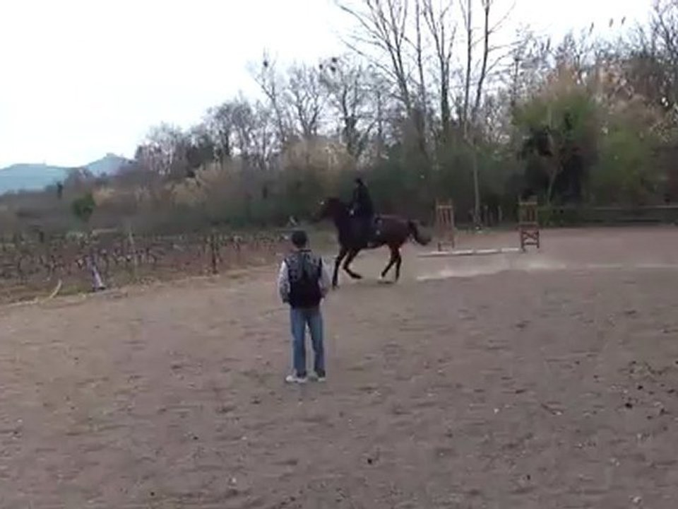 17 03 Nelly obstacle (2)
