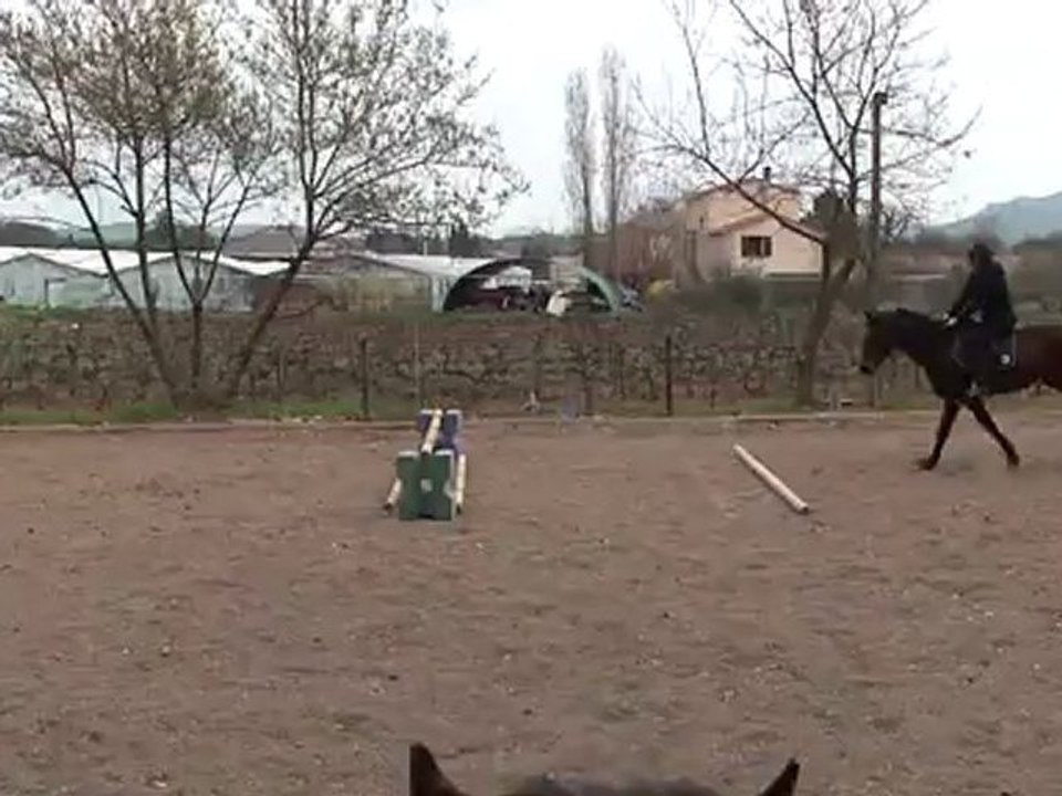 17 03 Nelly obstacle (6)