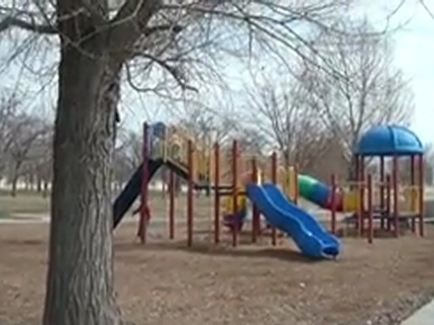 St. Patrick's Day  -- Tumbleweeds and Wind