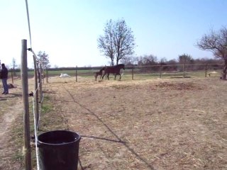 Coeur-Caillou-Gris-17-03-2012 002