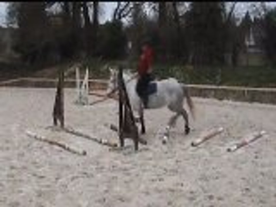 barres au sol 17_03_12