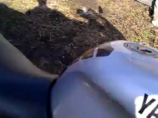 Yamaha YZF-600R Thundercat 1997