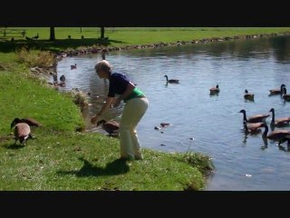 Sounds of Birds & Ducks