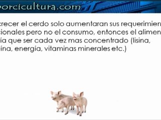 Alimentacion por fases parte 1