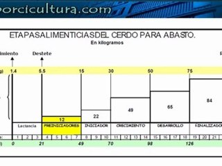 Alimentacion por fases parte 2