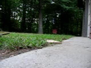 I Suck @ Skateboarding