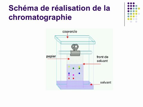 Fabrication d'un vinaigre de cidre et analyses biotechnologiques