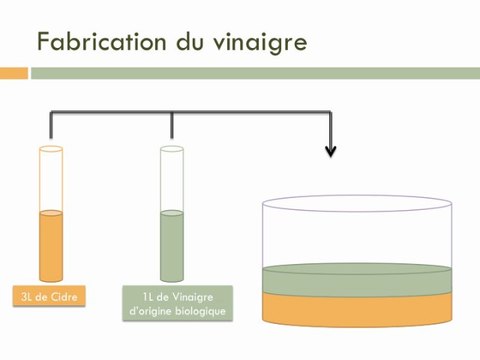 Fabrication d'un vinaigre de cidre et analyses biotechnologiques