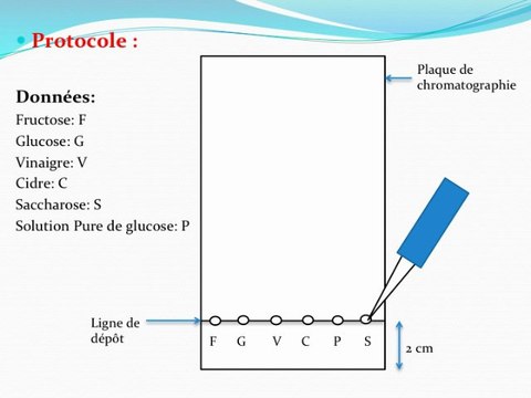 Fabrication d'un vinaigre de cidre et analyses biotechnologiques