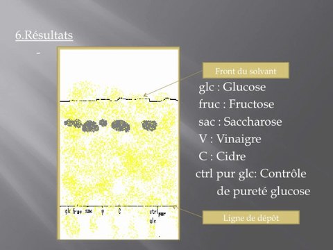 Fabrication d'un vinaigre de cidre et analyses biotechnologiques