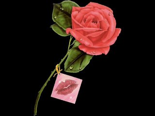 Une rose, un baiser et c'est tout.