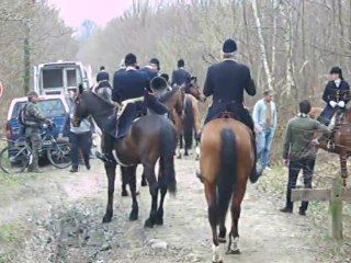 Chasse à courre : Halatte le "Départ"