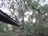 Arret pointer tir sur faisane - Oregon ATC9K caméra embarquée