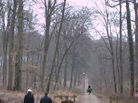 Chasse à courre : Halatte le Bien-aller