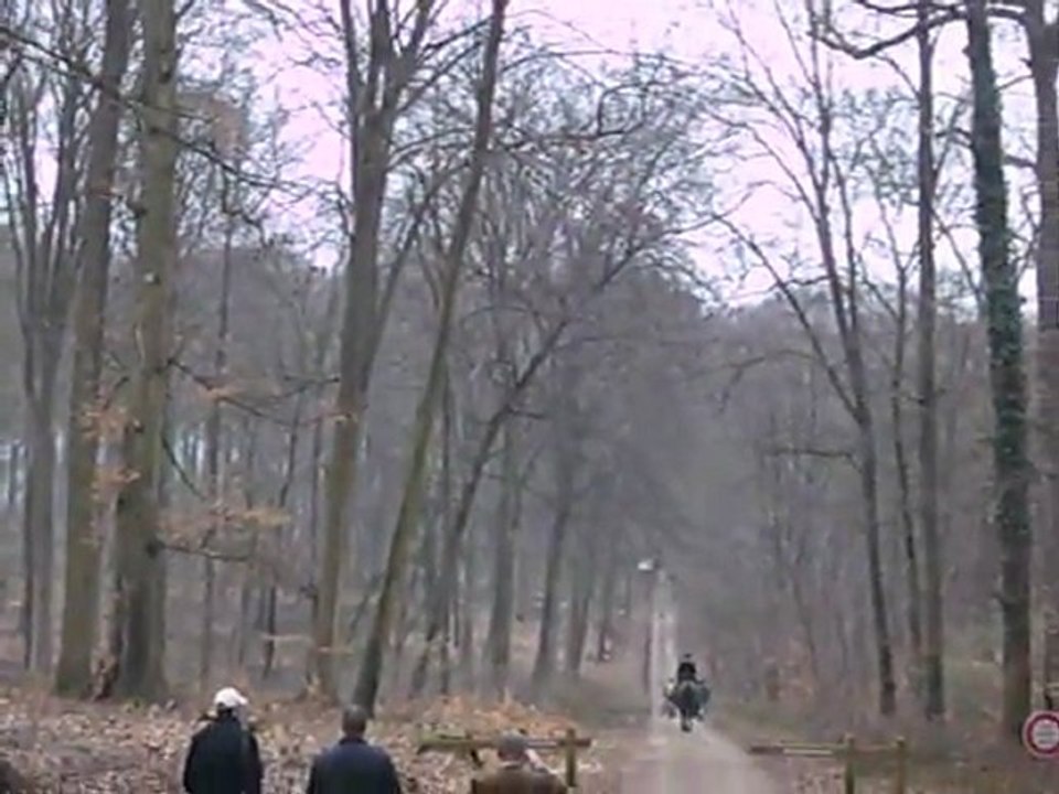 Chasse à courre : Halatte le "Bien-aller"