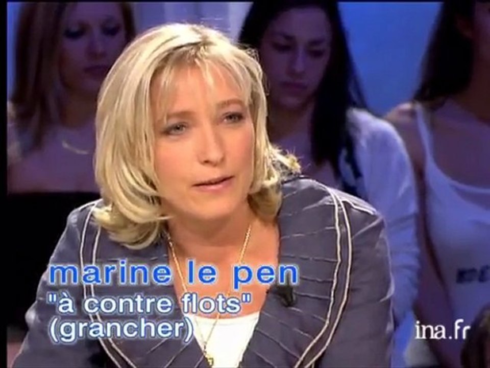 TOUT LE MONDE EN PARLE, MARINE LEPEN'S STORY...
