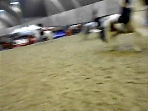 Salon du cheval mons 2012