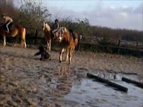 Ma chute à cheval