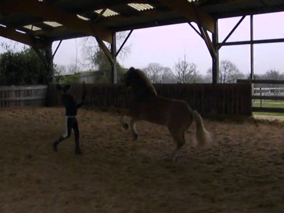 Mille or : premiers cabrés