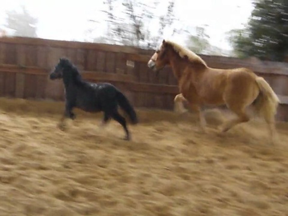 Mille or et Bad Boy