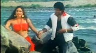 Love In Jungle