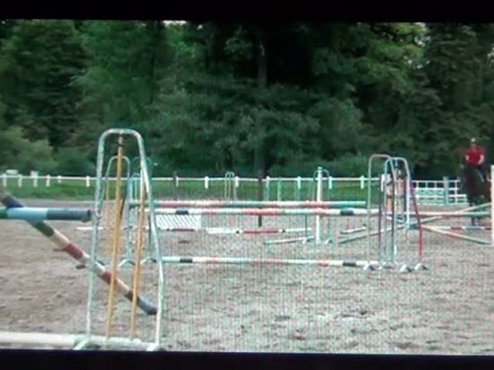 Stage  SHF Juillet 2012