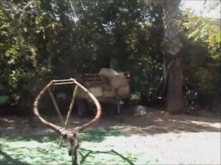 quedada taringa FALLES 2012